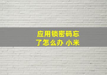 应用锁密码忘了怎么办 小米